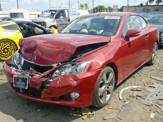 JTHFF2C26A2510469 - 2010 LEXUS IS 250 RED photo 2
