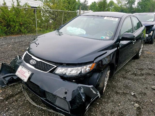 KNAFU4A22C5637241 - 2012 KIA FORTE EX BLACK photo 2