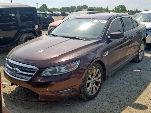 1FAHP2EW4AG105209 - 2010 FORD TAURUS SEL PURPLE photo 2