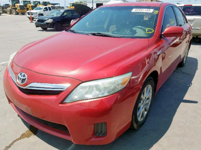 4T1BB3EK6AU120227 - 2010 TOYOTA CAMRY HYBR RED photo 2