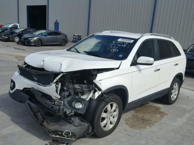 5XYKT4A13BG170557 - 2011 KIA SORENTO BA WHITE photo 2