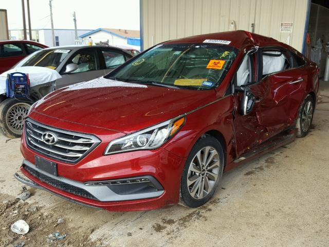 5NPE34AF2FH042480 - 2015 HYUNDAI SONATA SPO RED photo 2