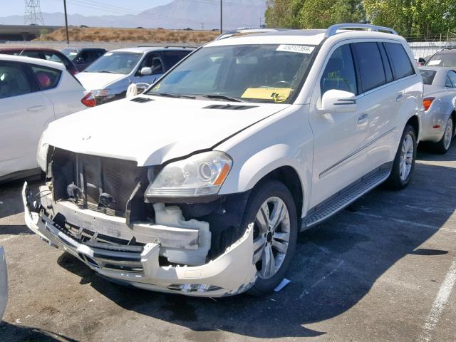 4JGBF7BE1BA668519 - 2011 MERCEDES-BENZ GL 450 4MA WHITE photo 2