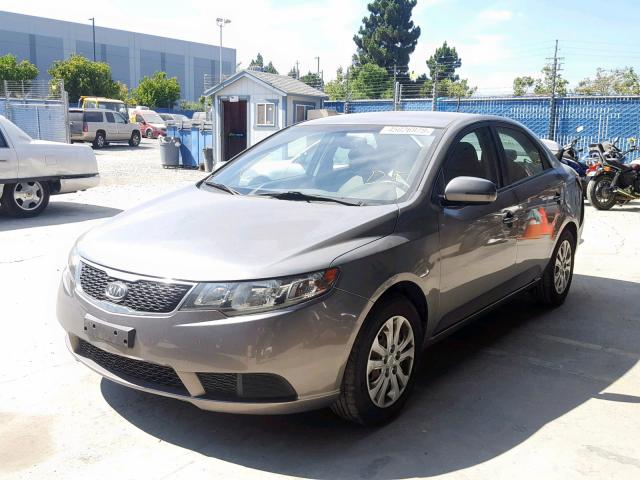 KNAFU4A29D5645614 - 2013 KIA FORTE EX GRAY photo 2