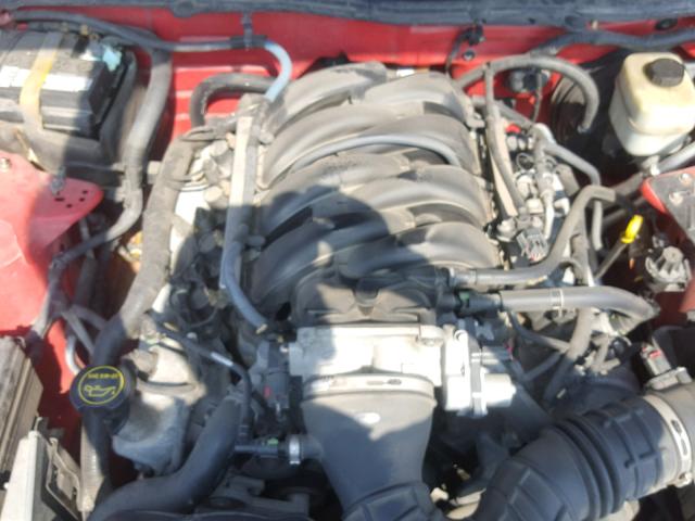 1ZVFT82HX65214974 - 2006 FORD MUSTANG GT RED photo 7