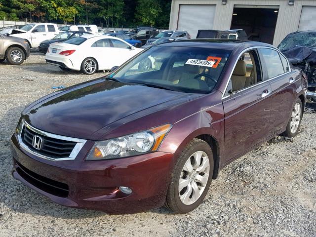 5KBCP3F87AB013081 - 2010 HONDA ACCORD EXL MAROON photo 2