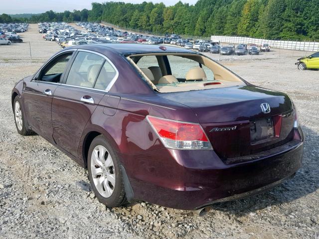 5KBCP3F87AB013081 - 2010 HONDA ACCORD EXL MAROON photo 3