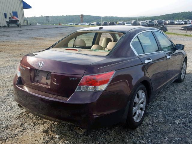 5KBCP3F87AB013081 - 2010 HONDA ACCORD EXL MAROON photo 4