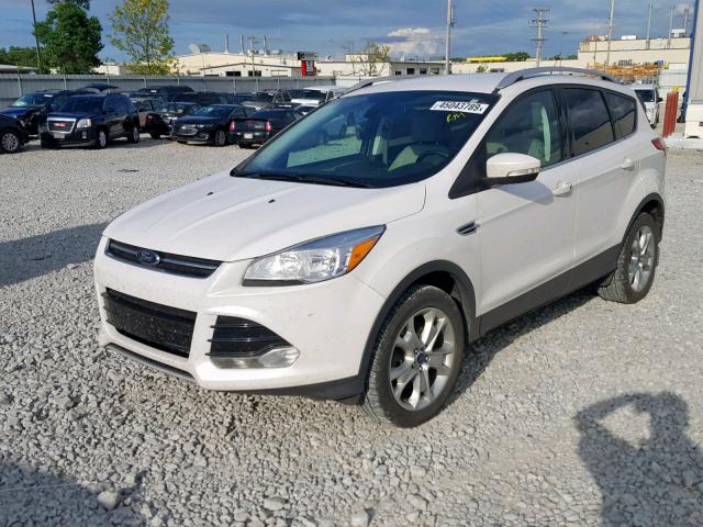 1FMCU9J99EUD52928 - 2014 FORD ESCAPE TIT WHITE photo 2