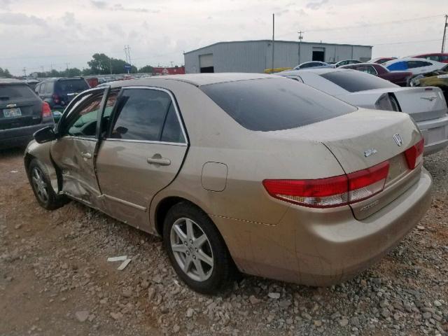 1HGCM66583A051026 - 2003 HONDA ACCORD GOLD photo 3