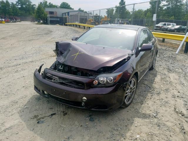 JTKDE167990286871 - 2009 TOYOTA SCION TC ბურგუნდია ფოტო 2