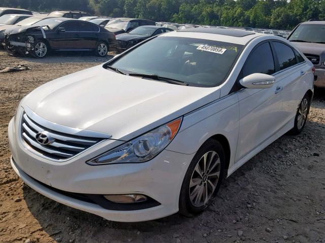 5NPEC4AC7EH918335 - 2014 HYUNDAI SONATA SE WHITE photo 2