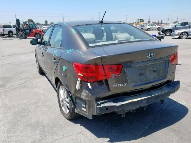 KNAFU4A29B5332530 - 2011 KIA FORTE EX BROWN photo 3