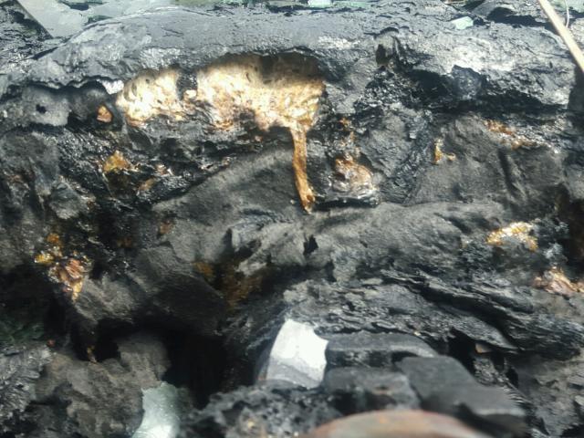 2G4WB52K8X1497115 - 1999 BUICK REGAL LS GOLD photo 8