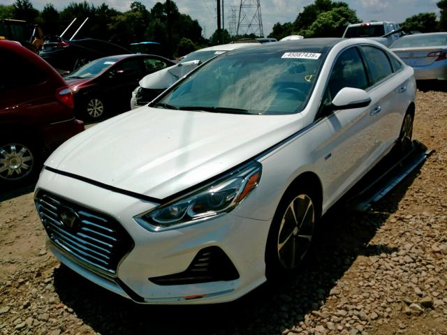 KMHE34L33JA087409 - 2018 HYUNDAI SONATA HYB WHITE photo 2