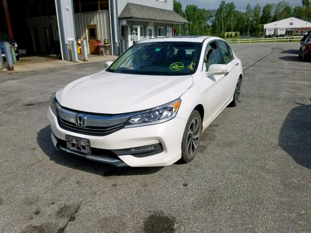 1HGCR2F89GA055760 - 2016 HONDA ACCORD EXL WHITE photo 2