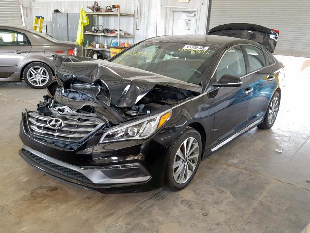 5NPE34AF9GH335343 - 2016 HYUNDAI SONATA SPO BLACK photo 2