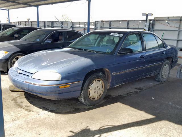 2G1WL52M0T1171315 - 1996 CHEVROLET LUMINA BLUE photo 2