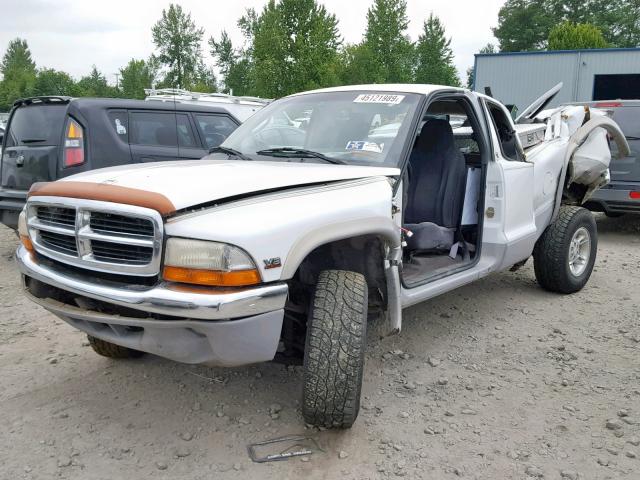 1B7GG22N0YS711678 - 2000 DODGE DAKOTA WHITE photo 2