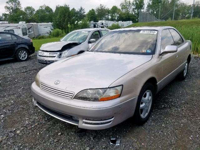 JT8BF12G4T0130907 - 1996 LEXUS ES 300 GOLD photo 2