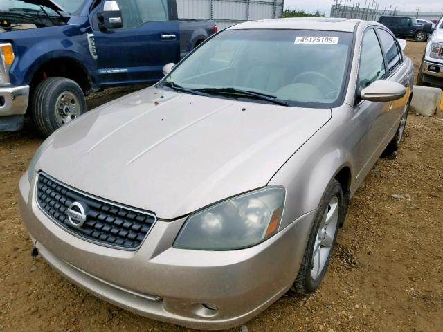 1N4BL11E05C112891 - 2005 NISSAN ALTIMA SE GOLD photo 2