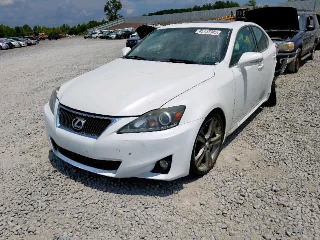 JTHBF5C23C2101946 - 2012 LEXUS IS 250 WHITE photo 2