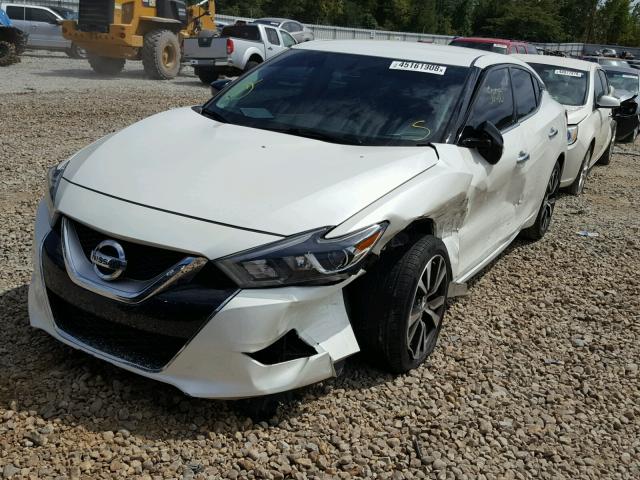 1N4AA6AP7GC384261 - 2016 NISSAN MAXIMA 3.5 WHITE photo 2