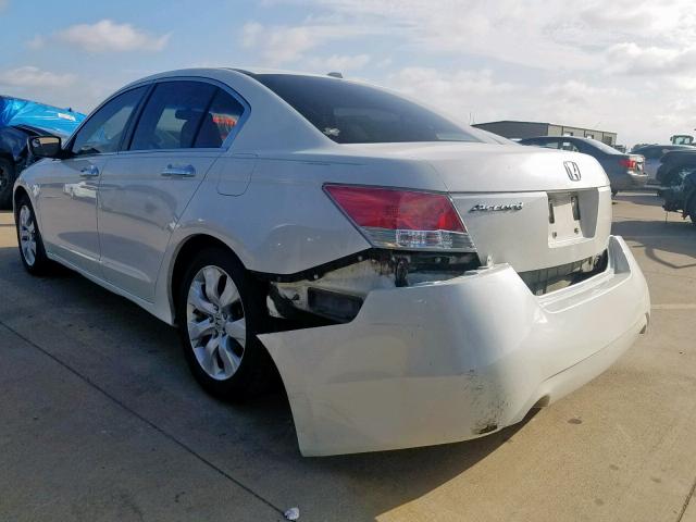 5KBCP3F86AB011998 - 2010 HONDA ACCORD EXL WHITE photo 3