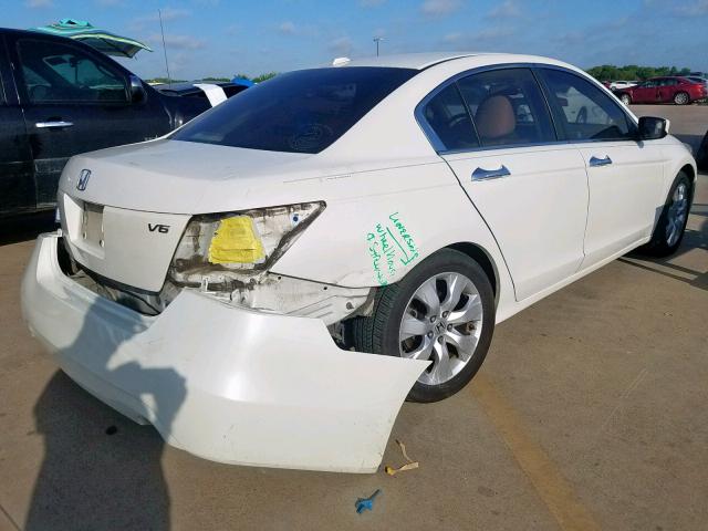 5KBCP3F86AB011998 - 2010 HONDA ACCORD EXL WHITE photo 4