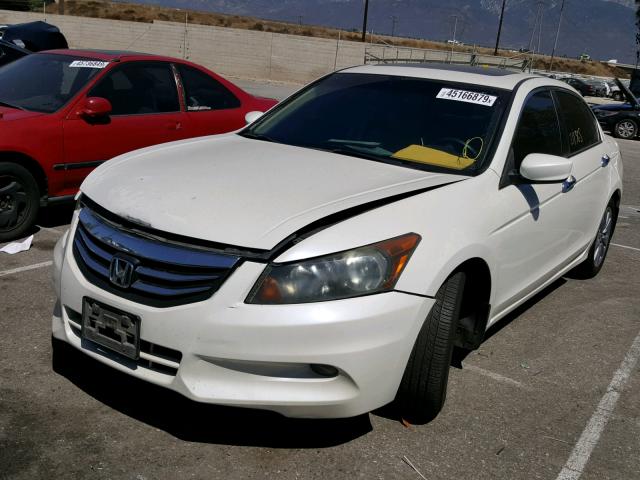 1HGCP3F80BA002501 - 2011 HONDA ACCORD EXL WHITE photo 2