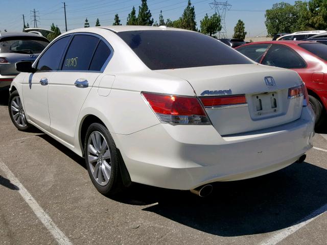 1HGCP3F80BA002501 - 2011 HONDA ACCORD EXL WHITE photo 3