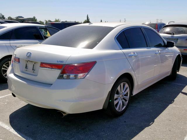 1HGCP3F80BA002501 - 2011 HONDA ACCORD EXL WHITE photo 4