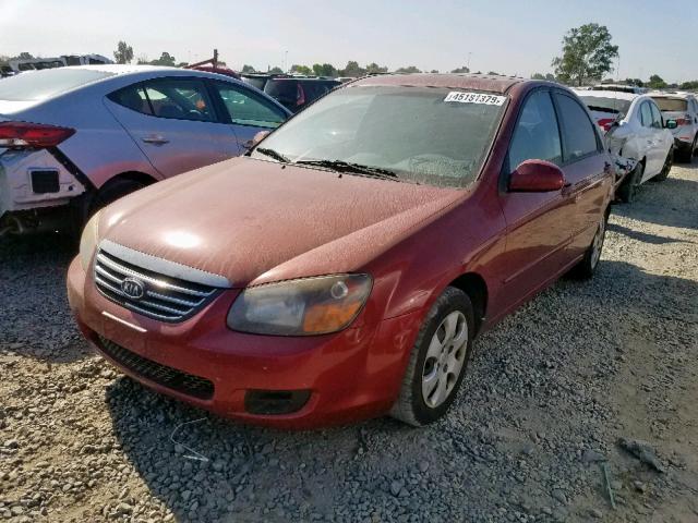 KNAFE222695612660 - 2009 KIA SPECTRA EX RED photo 2