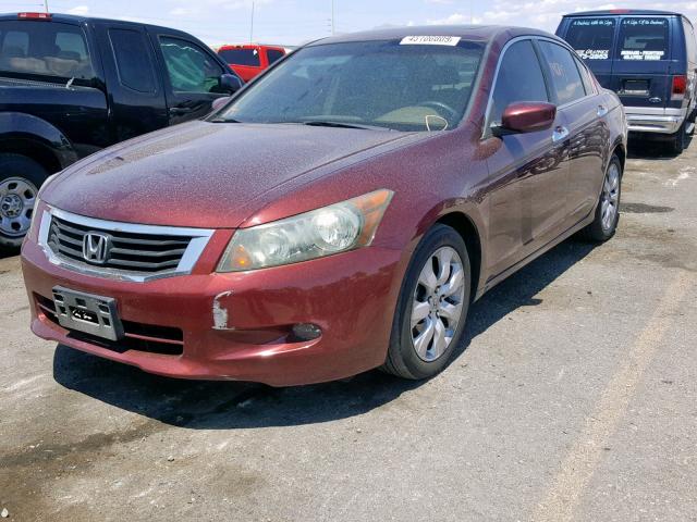 1HGCP36858A030948 - 2008 HONDA ACCORD EXL BURGUNDY photo 2