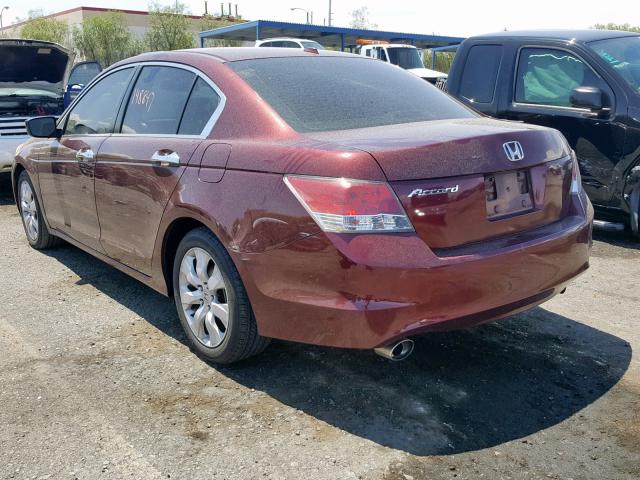 1HGCP36858A030948 - 2008 HONDA ACCORD EXL BURGUNDY photo 3