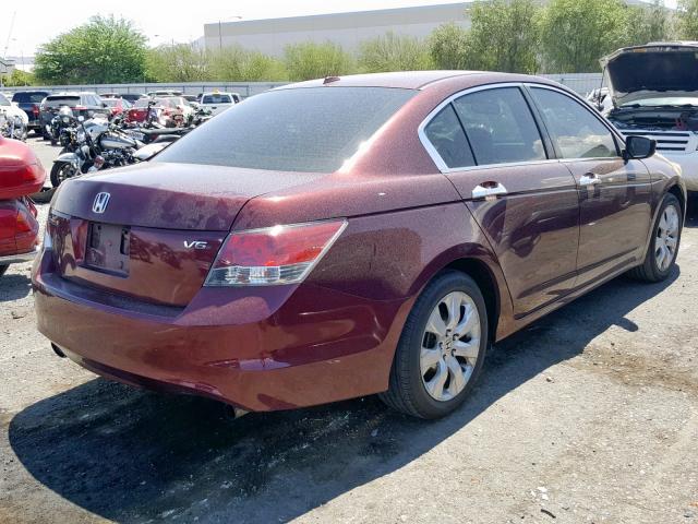 1HGCP36858A030948 - 2008 HONDA ACCORD EXL BURGUNDY photo 4