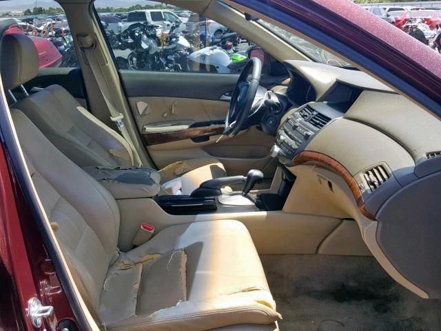 1HGCP36858A030948 - 2008 HONDA ACCORD EXL BURGUNDY photo 5