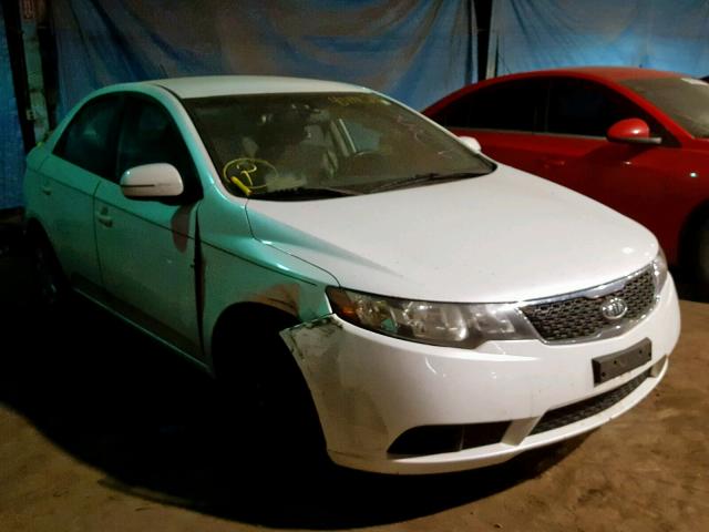 KNAFU4A20C5572969 - 2012 KIA FORTE EX WHITE photo 1