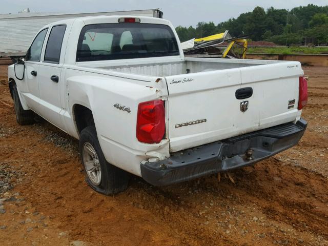 1D3HW38N68S581644 - 2008 DODGE DAKOTA SXT WHITE photo 3