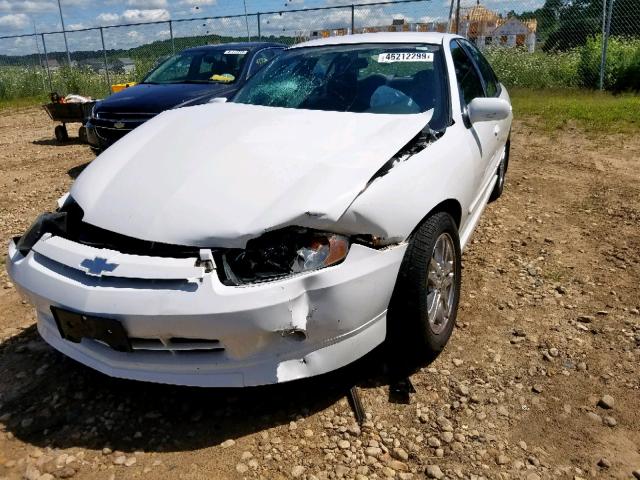 1G1JH52FX47192254 - 2004 CHEVROLET CAVALIER L WHITE photo 2