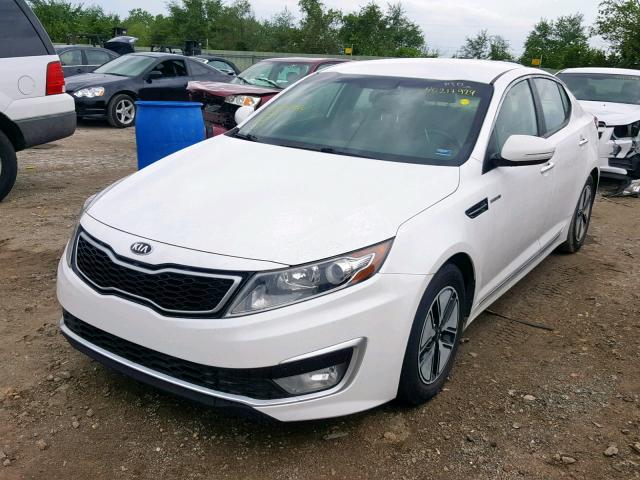 KNAGM4AD4D5053964 - 2013 KIA OPTIMA HYB WHITE photo 2