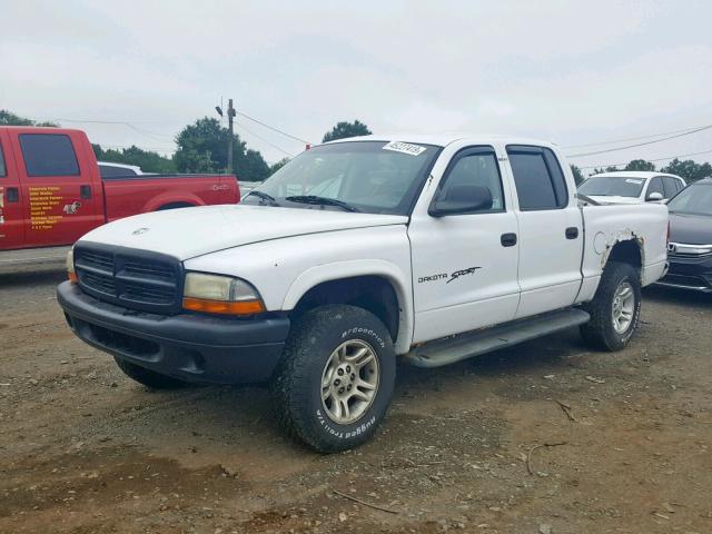 1B7GG2AN31S102737 - 2001 DODGE DAKOTA QUA WHITE photo 2