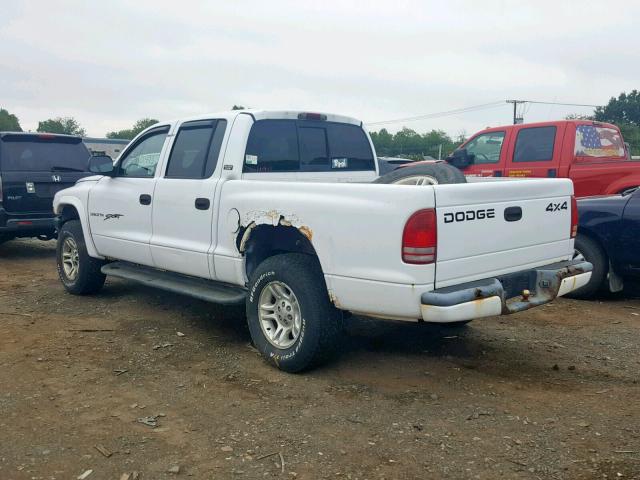 1B7GG2AN31S102737 - 2001 DODGE DAKOTA QUA WHITE photo 3