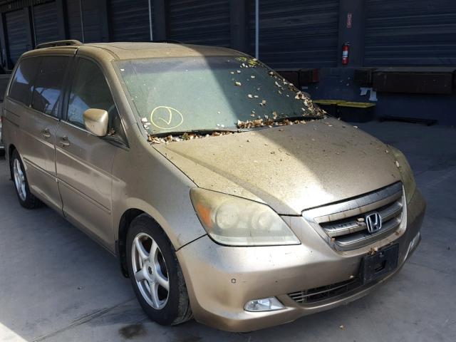 5FNRL38836B072346 - 2006 HONDA ODYSSEY TO GOLD photo 1