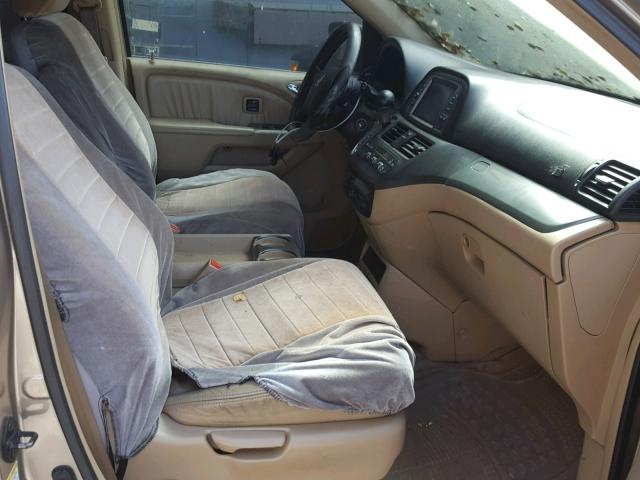 5FNRL38836B072346 - 2006 HONDA ODYSSEY TO GOLD photo 5