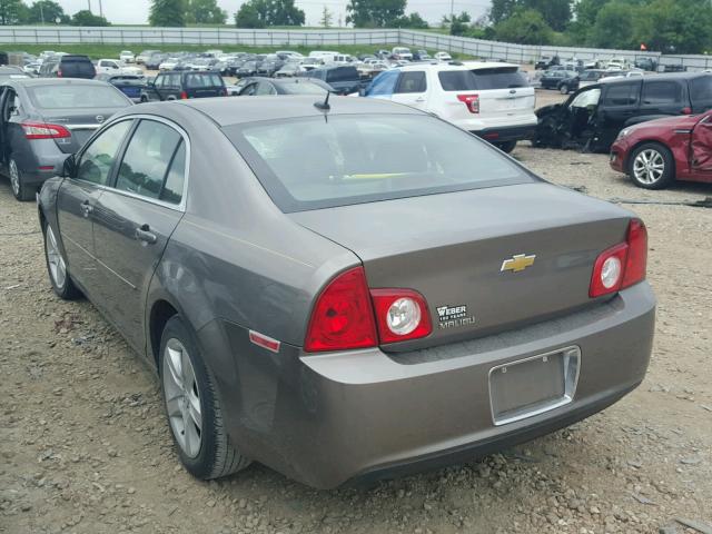 1G1ZB5EB1AF310450 - 2010 CHEVROLET MALIBU LS 棕色 照片 3