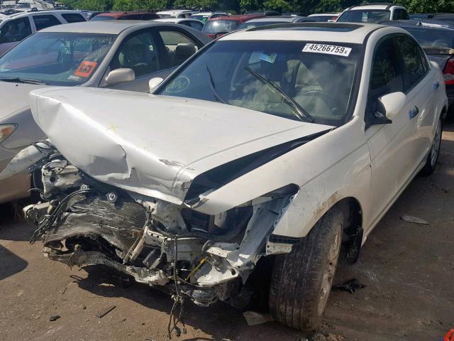 5KBCP3F83AB017158 - 2010 HONDA ACCORD EXL WHITE photo 2