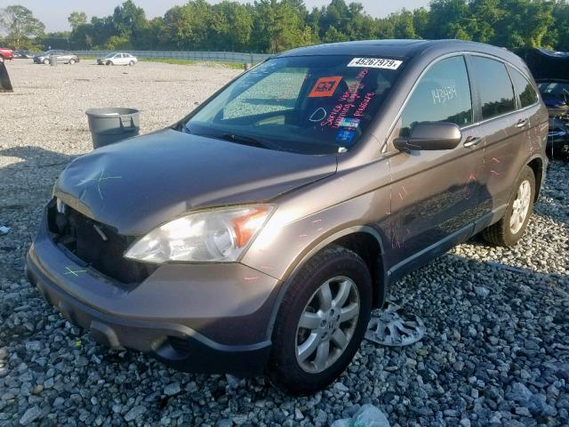 5J6RE38759L030709 - 2009 HONDA CR-V EXL GOLD photo 2