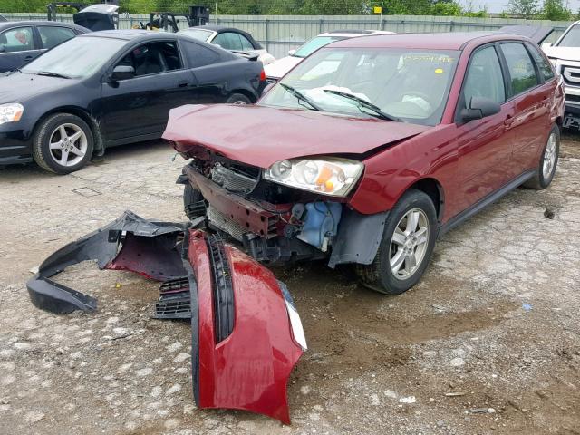 1G1ZT64835F100981 - 2005 CHEVROLET MALIBU MAX 栗色 照片 2