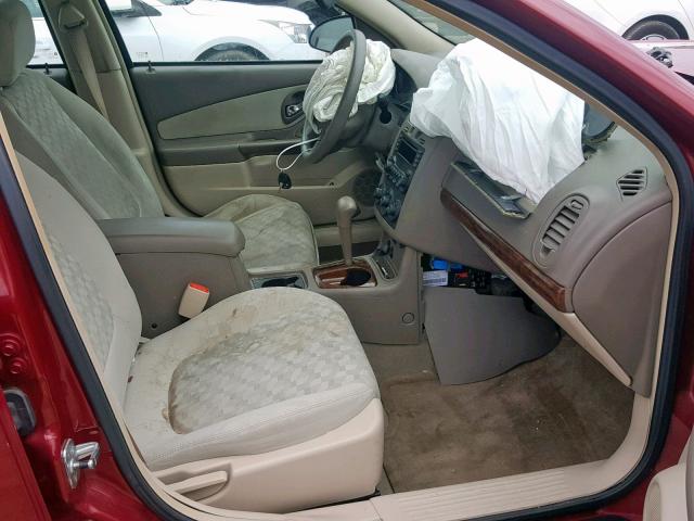 1G1ZT64835F100981 - 2005 CHEVROLET MALIBU MAX 栗色 照片 5